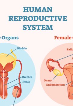 Addressing Reproductive Health Problems in Nursing: A Case Study and NCLEX Applications