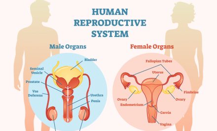 Addressing Reproductive Health Problems in Nursing: A Case Study and NCLEX Applications