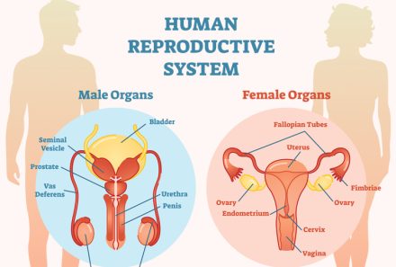 Addressing Reproductive Health Problems in Nursing: A Case Study and NCLEX Applications