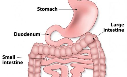 Comprehensive Care for a Client with Upper Gastrointestinal Tract Health Problems: An NCLEX-Standard Guide