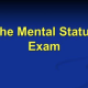 THE MENTAL STATUS EXAM: A KEY NCLEX SKILL