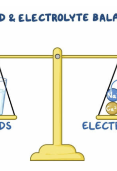 FLUID AND ELECTROLYTE IMBALANCES IN CHILDREN: NCLEX ESSENTIALS