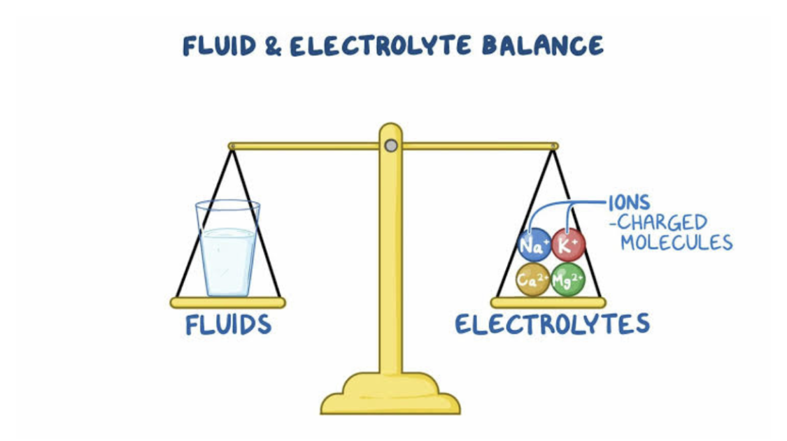 FLUID AND ELECTROLYTE IMBALANCES IN CHILDREN: NCLEX ESSENTIALS